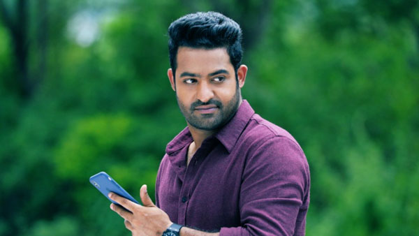 శ్రీ భరత్ కు రాజకీయ అనుభవం లేదు అందుకే ఇలా వ్యాఖ్యలంటున్న ఎన్టీఆర్ అభిమానులు