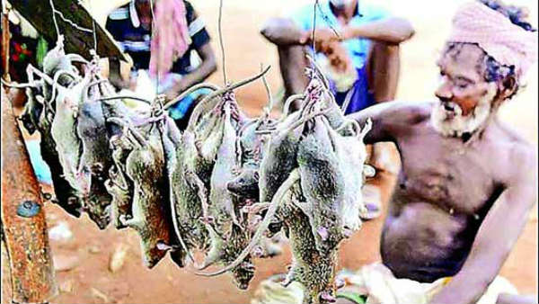 అసోంలో ఎప్పటినుంచో.. భలే గిరాకీ..!
