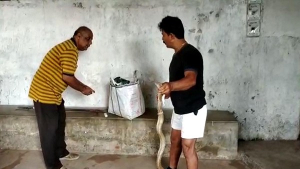 Odisha man takes injured snake to hospital, registers it as 7-year-old male, Odisha man takes injured snake to hospital, registers it as 7-year-old male,
