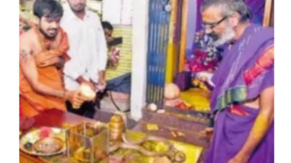 cobra found in nalgonda renuka yellamma temple cobra found in nalgonda renuka yellamma temple