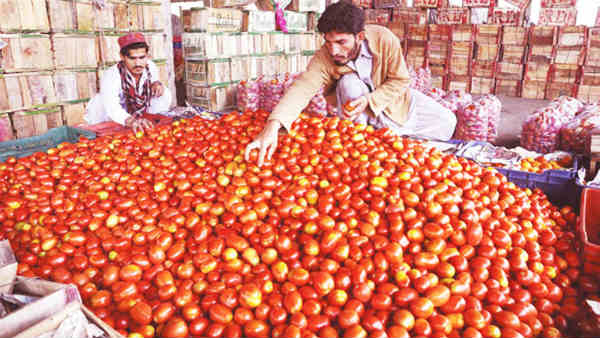 కిలో టమాటా రూ. 300