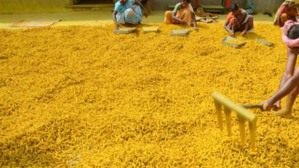 నిజంగా వ్యాపారి నష్టపోయాడా ? లేదా రైతన్నలను ఐపీ పేరుతో మోసం చేస్తున్నాడా