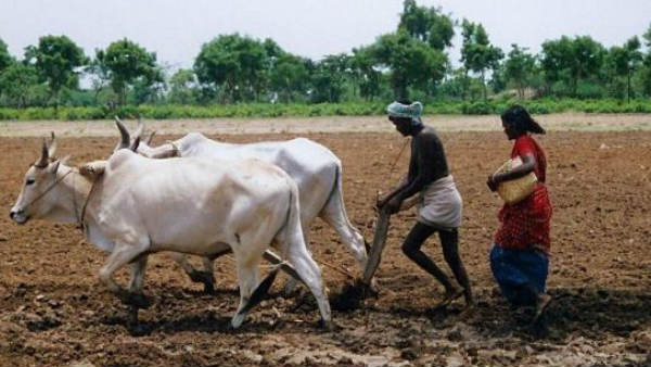 రైతులపై దుష్ప్రభావం..