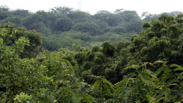 అందుబాటులో ఉన్నది 38 శాతమే