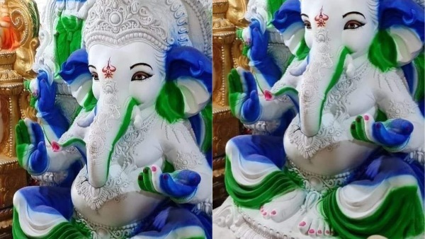 వినాయకుడి విగ్రహానికి వైసీపీ రంగులు