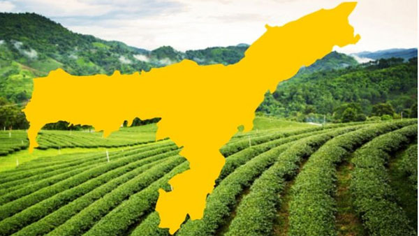 ప్రొటెక్టెడ్ ఏరిగా అసోం