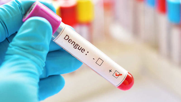 Doctors worry about all the 4 Dengue variants present in Hyderabad Doctors worry about all the 4 Dengue variants present in Hyderabad