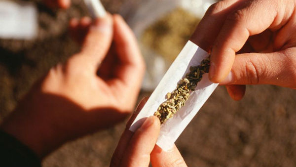 Delhi is 3rd highest consumer of cannabis after New york and Karachi Delhi is 3rd highest consumer of cannabis after New york and Karachi