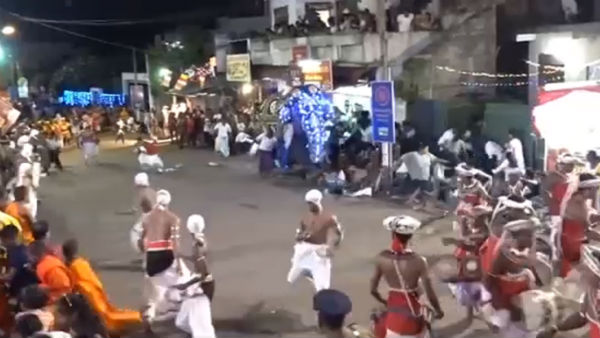Elephant injures 18 members in Sri Lanka Buddhist pageant Elephant injures 18 members in Sri Lanka Buddhist pageant