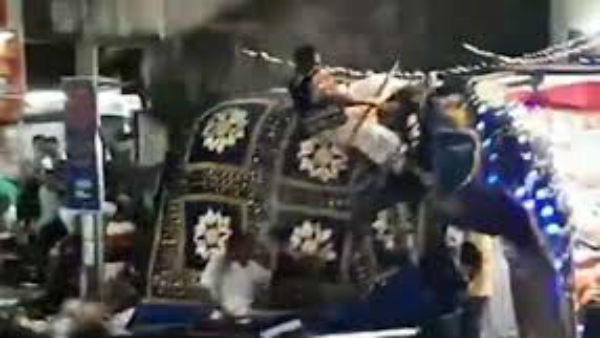 Elephants Out Of Control At Religious Festival, 17 Injured Elephants Out Of Control At Religious Festival, 17 Injured