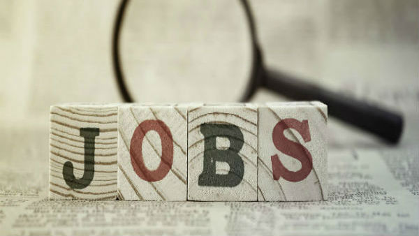 Apply for Q&A and Accountant jobs in Ministry of Textile Apply for Q&A and Accountant jobs in Ministry of Textile