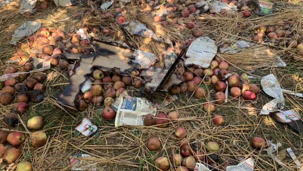 ఉనికిని కాపాడుకునేందుకు ఉగ్రవాద చర్యలు