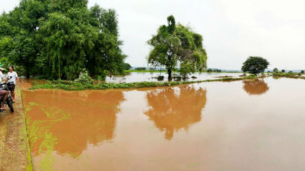 కడపలోనూ వరద .. ప్రొద్దుటూరు వాగులో ముగ్గురు గల్లంతు .. గాలింపు