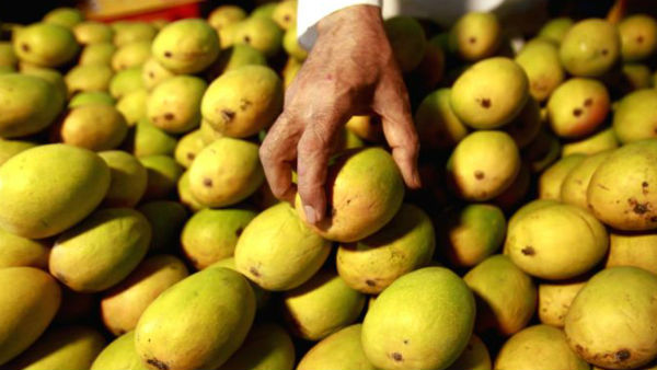An Indian man faced a trial at the Court for stealing two mangoes from Airport traveller An Indian man faced a trial at the Court for stealing two mangoes from Airport traveller
