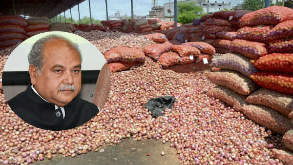 Onion prices to calm down in next few days: Narendra Singh Tomar Onion prices to calm down in next few days: Narendra Singh Tomar