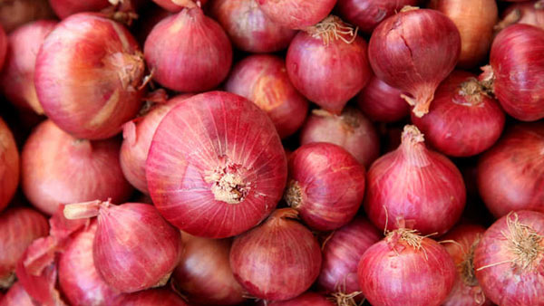 export of all varieties of onions is prohibited with immediate effect export of all varieties of onions is prohibited with immediate effect