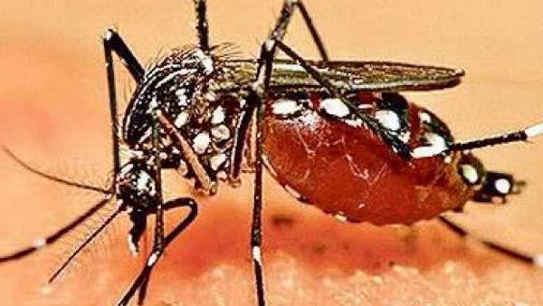 పాక్కు చైనా సహకారం