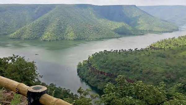 అనుమతుల కోసం అటవీ శాఖకు ప్రతిపాదనలను