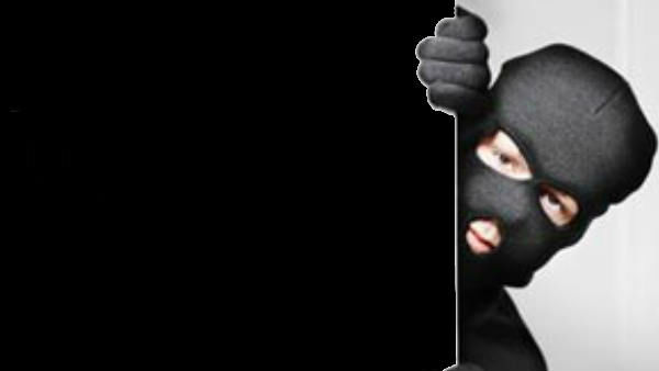 The PD act on the interstate thief ... because The PD act on the interstate thief ... because