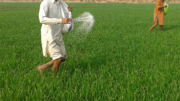 తెలంగాణలో యూరియా కొరత.. 3 పార్టీల నేతల మధ్య మాటల తూటాలు
