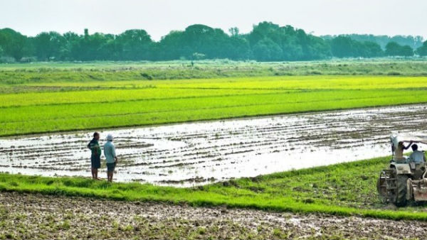 అక్రమ పట్టాల గుట్టు రట్టు.. రెవెన్యూ అధికారుల లీలలు