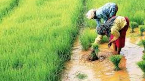 ఏసీబీ అధికారులకు రెవెన్యూ శాఖ సమగ్ర నివేదిక..!
