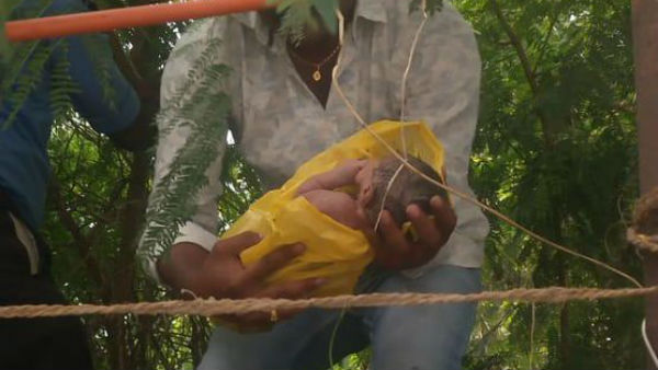 Newborn Baby girl thrown into bushes survies in NIMS Hyderabad Newborn Baby girl thrown into bushes survies in NIMS Hyderabad
