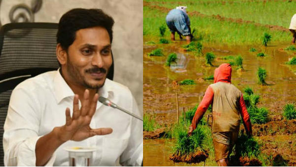 నేడు సింహపురి వేదికగా రైతు భరోసా