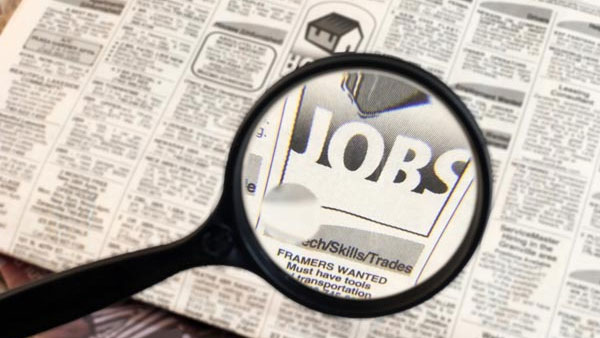 Census Recruitment 2019:Apply for Stenographer, Translator posts Census Recruitment 2019:Apply for Stenographer, Translator posts