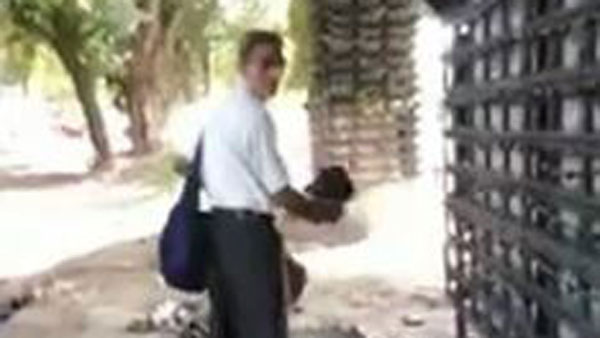 old man steals flower pot from delhi vertical garden old man steals flower pot from delhi vertical garden