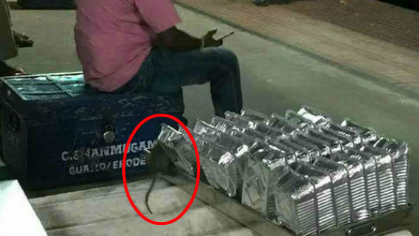 the Chennai division of Indian Railways have spent a whopping Rs 5.89 crore to tackle rat menace the Chennai division of Indian Railways have spent a whopping Rs 5.89 crore to tackle rat menace