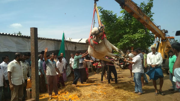 తొమ్మిది సంవత్సరాల అనుబంధం.. ఇలా అర్ధాంతరంగా..!