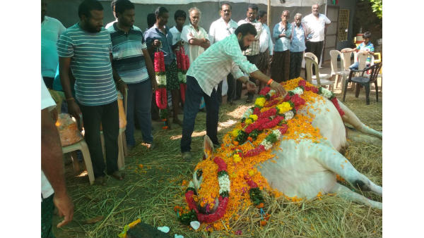 ఘనంగా అంత్యక్రియలు.. జంతు ప్రేమికులు కూడా తోడయ్యారు