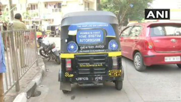 కాసిన్ని మొక్కలు