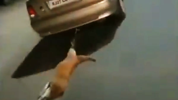 Dog dragged to death after tied to a car,Video goes viral Dog dragged to death after tied to a car,Video goes viral