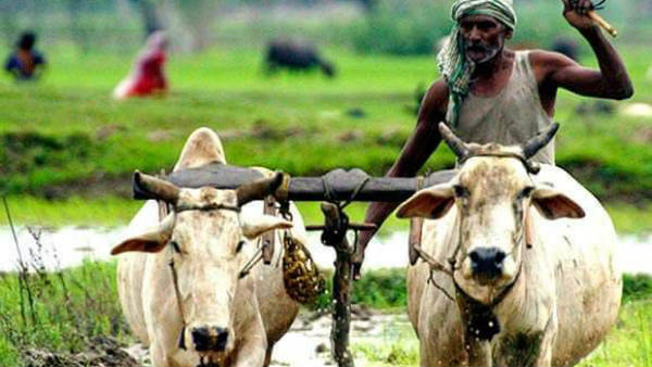 మార్కెట్ యార్డులలోనూ నాడు నేడు నిర్వహిస్తామన్న మంత్రి