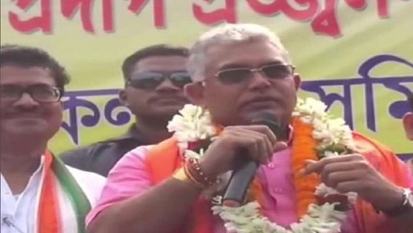 కుక్కలు కాకపోతే ఏమైనా!