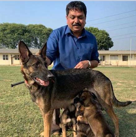 Kerala Police department to induct Belgian Malinois, dog breed involved in most wanted terrorist Baghdadi raid Kerala Police department to induct Belgian Malinois, dog breed involved in most wanted terrorist Baghdadi raid
