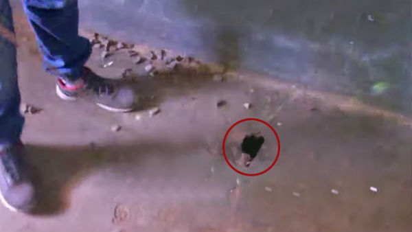 9-year-old girl student Sherlin dies of snakebite in Wayanad of Kerala 9-year-old girl student Sherlin dies of snakebite in Wayanad of Kerala