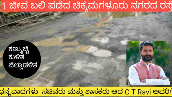 ప్రాణం తీసిన రోడ్డు గుంత