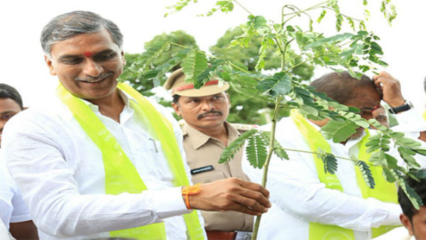 హరిత సిద్ధిపేట