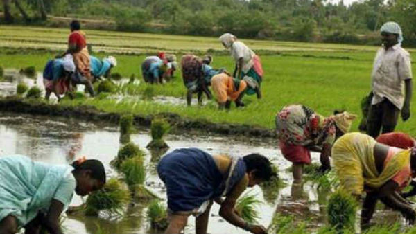 కొణిజర్ల తహసీల్దార్ ఆఫీస్ ముందు పురుగుల మందు డబ్బాలతో రైతులు