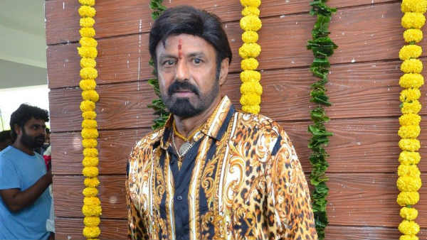 సందేశాత్మక సినిమాలు తీసిన బోయపాటి .. దిశ ఉదంతం సినిమాలో ఉండేలా ప్లాన్