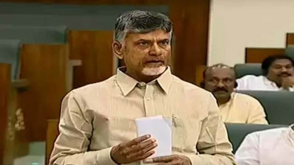 మండలిలో టీడీపీ బలంతో..