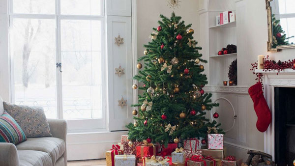 Lets celebrate Green Christmas..here are few ways to celebrate it Lets celebrate Green Christmas..here are few ways to celebrate it