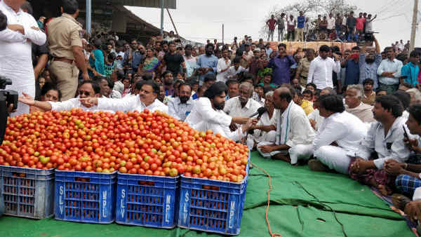 పసిపాపలా సాకితే..