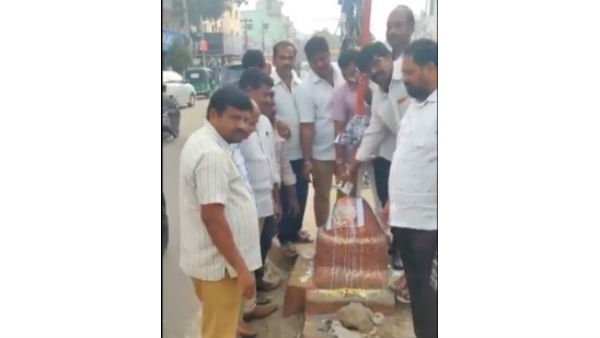 పలు చోట్ల పాలాభిషేకాలు..