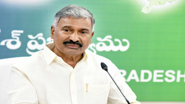 అమరావతిలో ఆందోళనలు చేస్తుంది టీడీపీ కార్యకర్తలే అన్న పెద్దిరెడ్డి