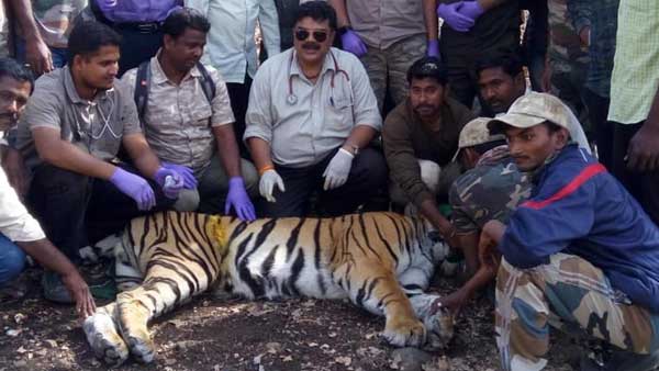 మనుషులపై దాడి మాత్రం చేయలేదు