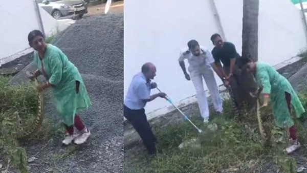 ఇంటి వెనకాల ఉన్న చెట్టు దగ్గర బుసకొట్టిన పైథాన్